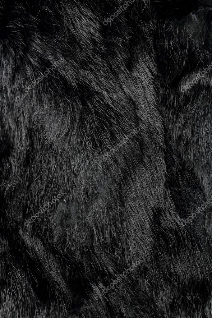 Black fur Stock Photo by ©costasz 72469633